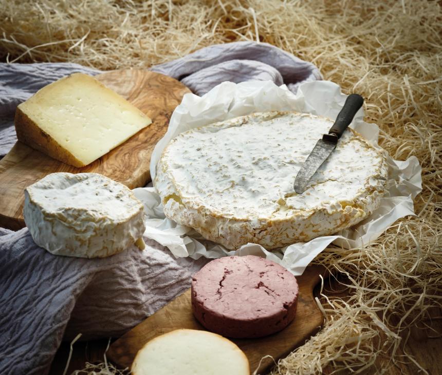 Selection of South West cheeses